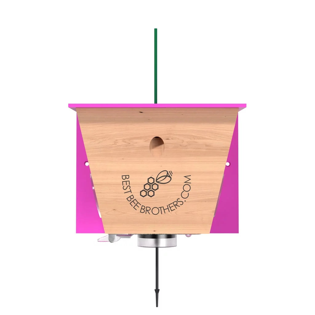 Carpenter Bee Trap Z714