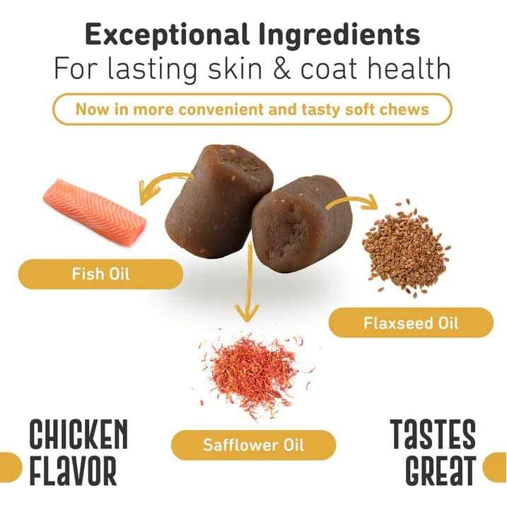 Healthy Skin & Coat H536
