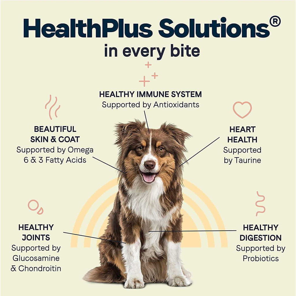 Dry Dog Food K669664