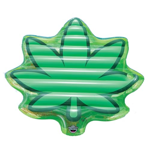 Large Vinyl Pool Float T543124