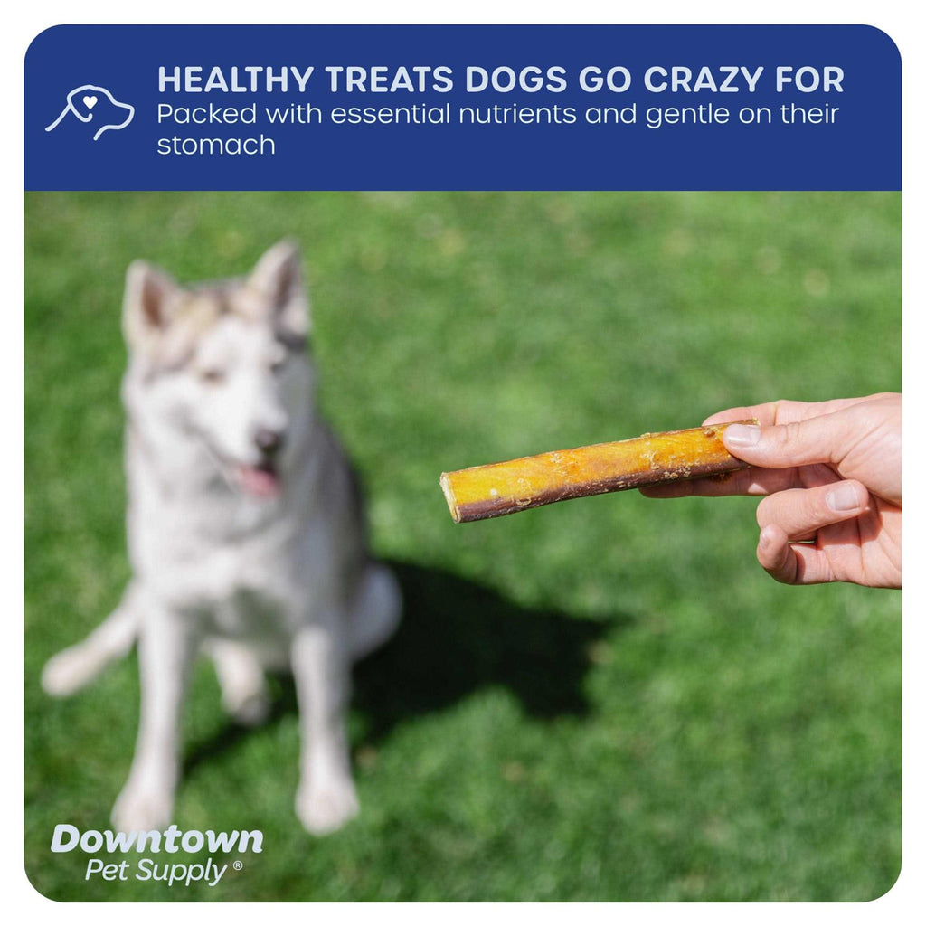 Bully Sticks Dog Chews M985