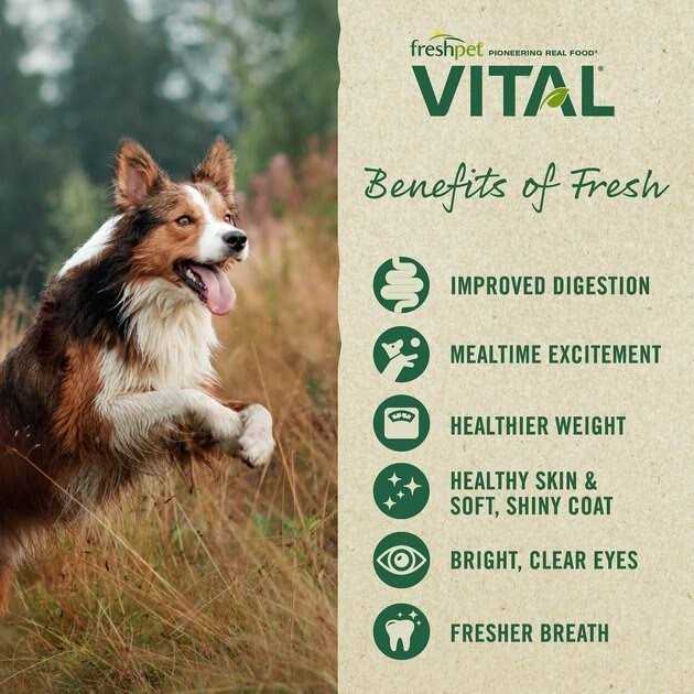 Grain-Free Chicken Small Breed Dog Food I1144