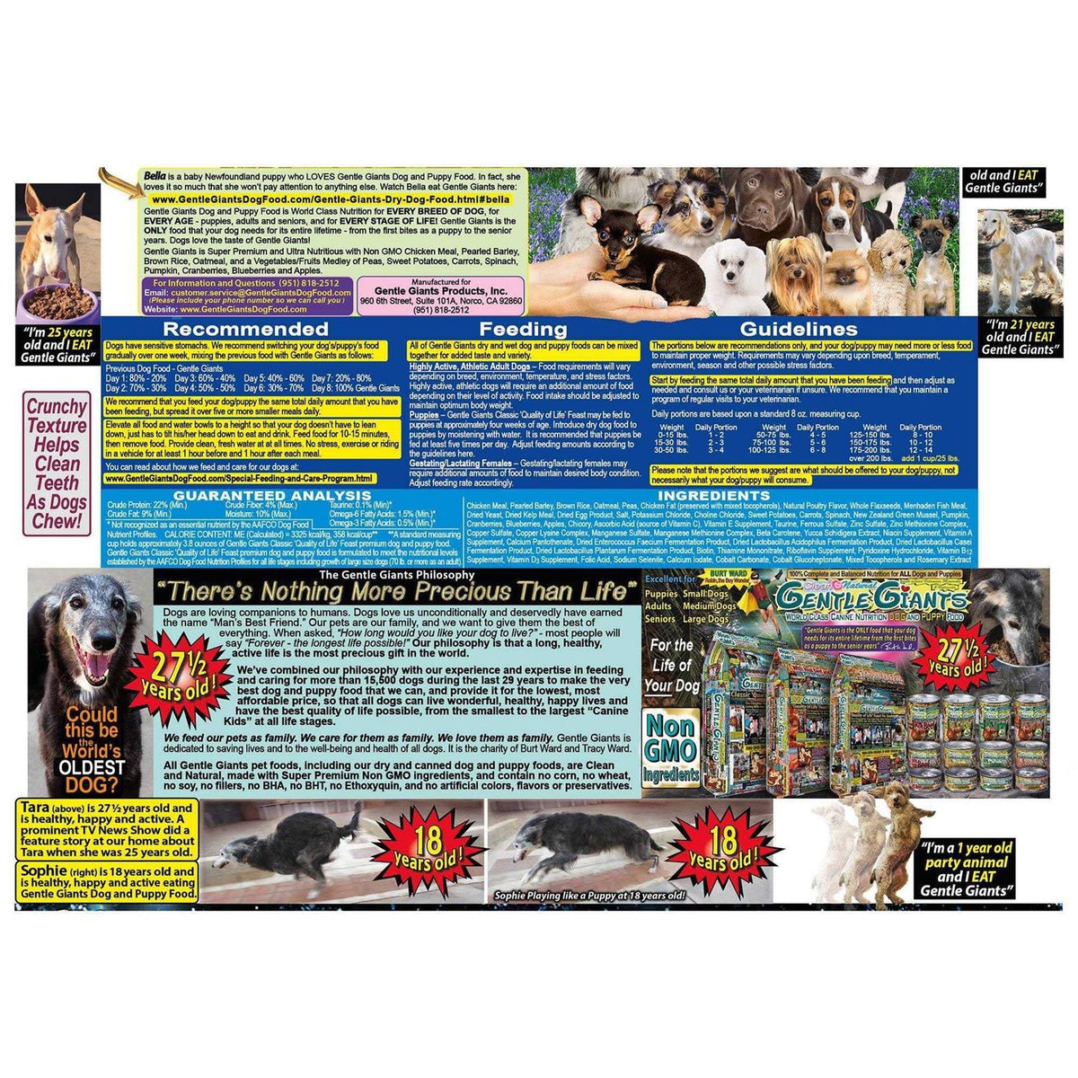 Chicken Dry Dog Food Y96907