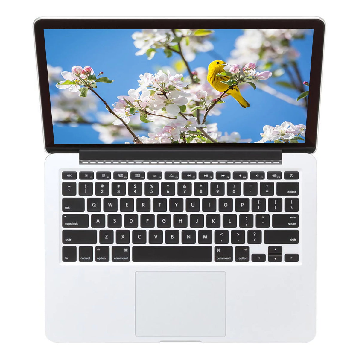 13.3-inch Intel Core i5 8GB RAM 256GB MacBook Pro (Refurbished) R983018