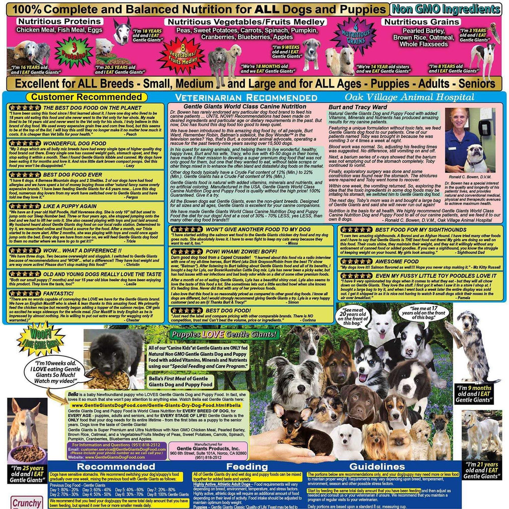 Chicken Dry Dog Food Y96907