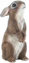 Standing Bunny Statue, Multicolor W227