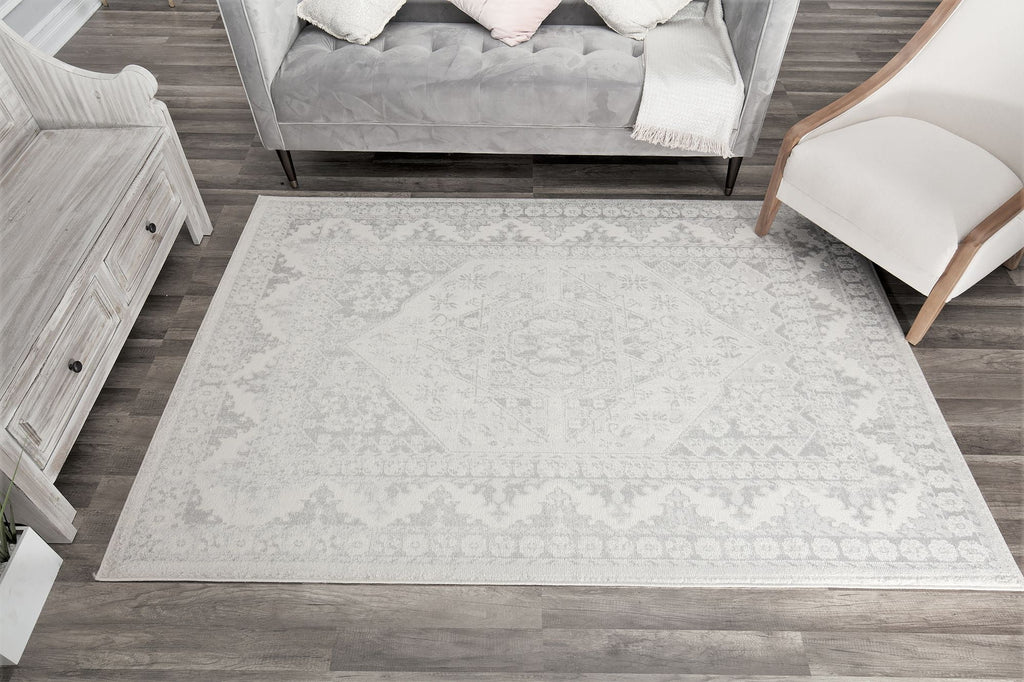 Grey Mist Vintage Transitional Area Rug R58651
