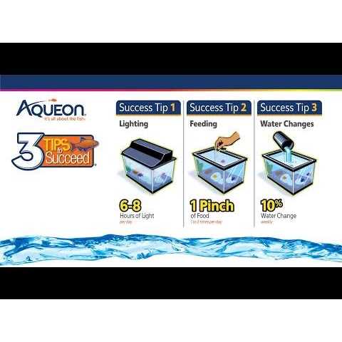 Frameless Cube Aquarium W567