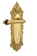 Victorian Plate Privacy Keyhole Fleur Lever in Unlacquered Brass B348