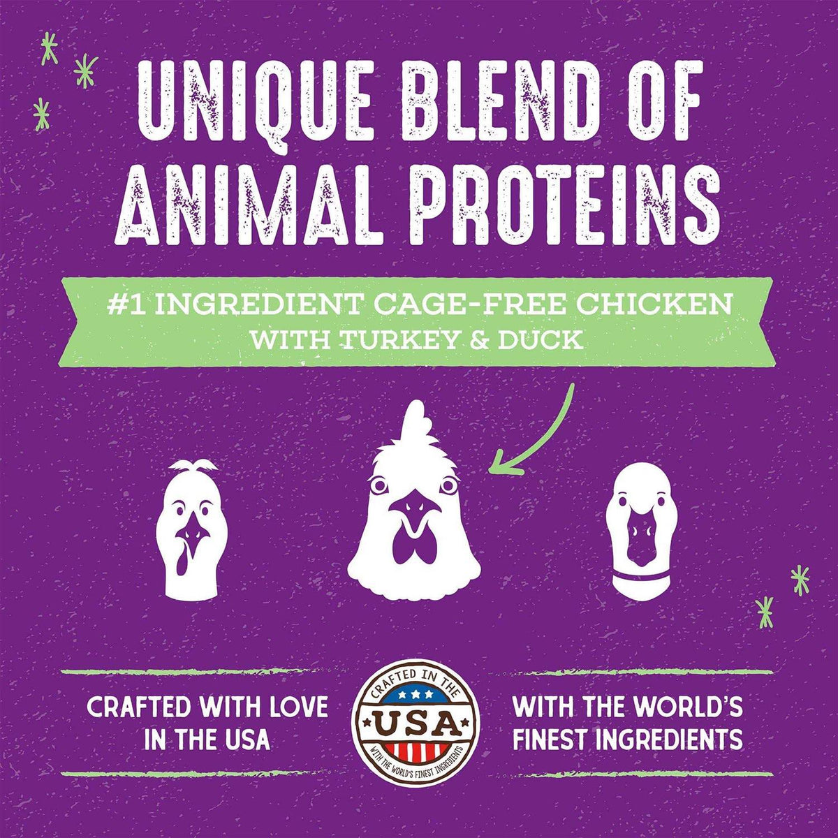 Cage-Free Recipe Dry Cat Food O783