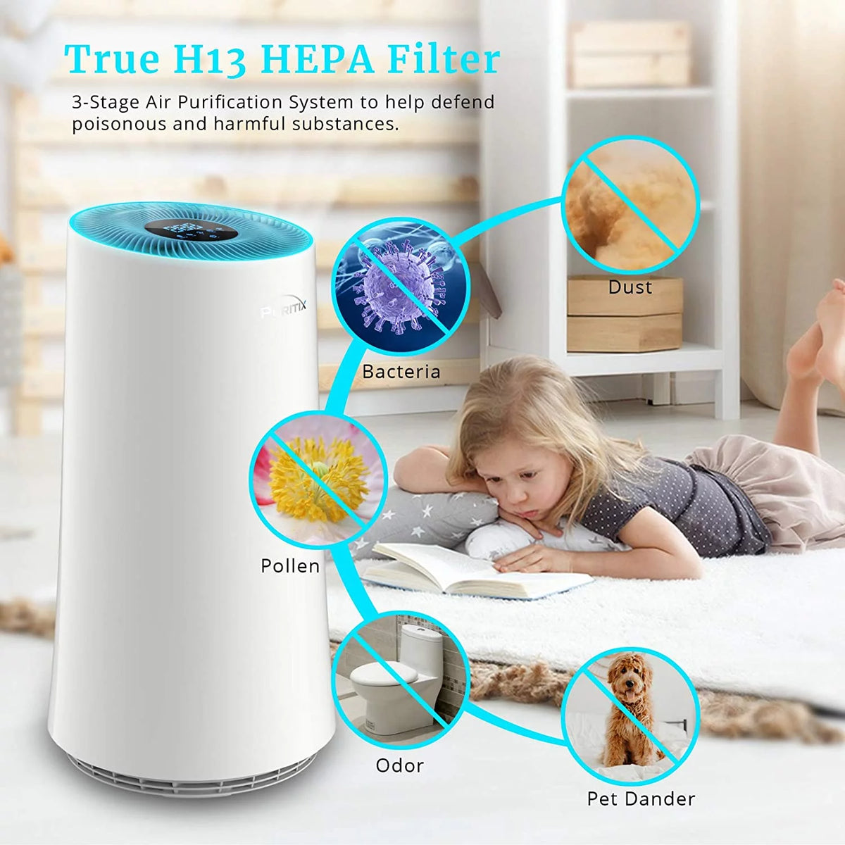 H13 True HEPA Air Purifier with Sleep Mode Z221