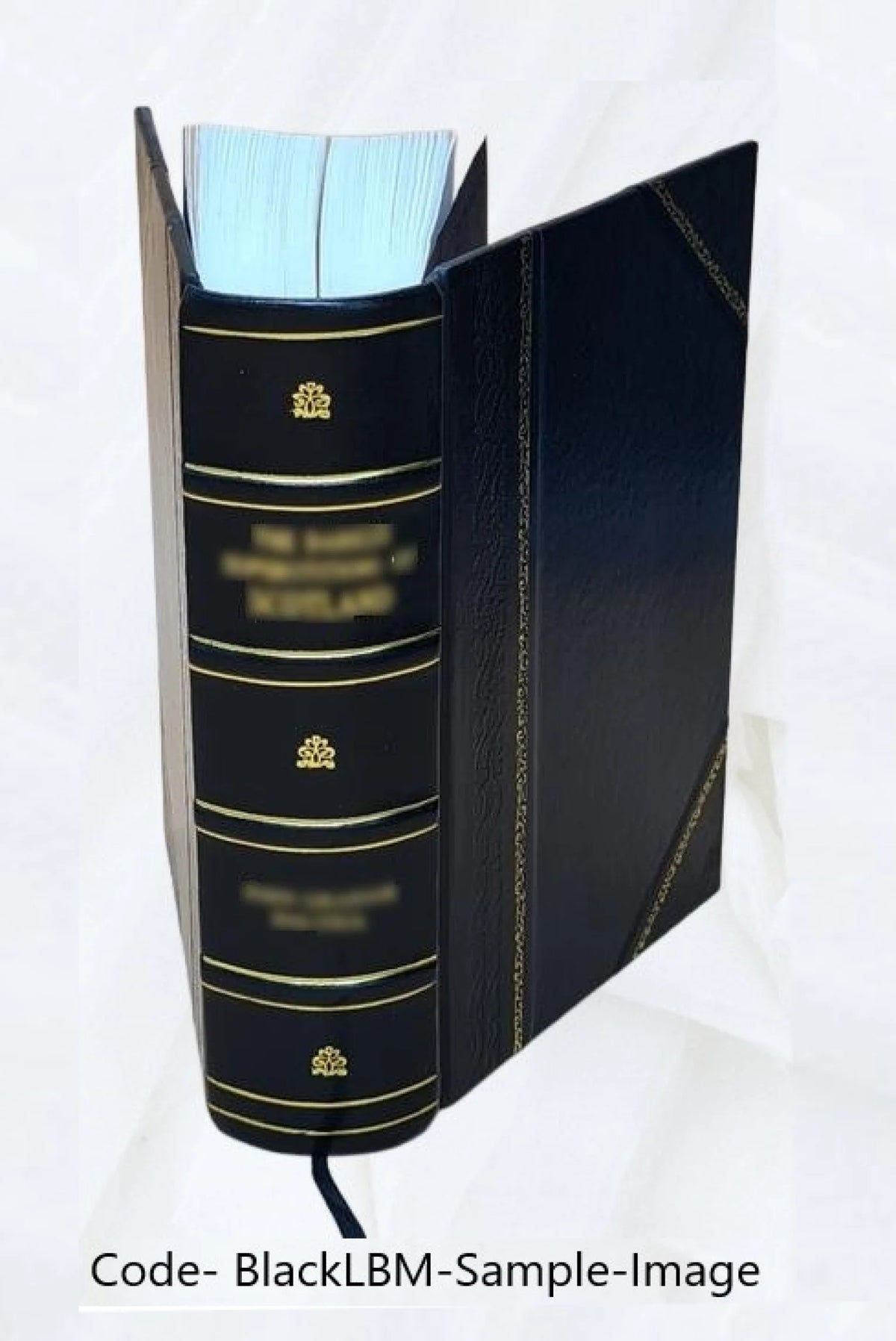Le ceremonial de France Q80376