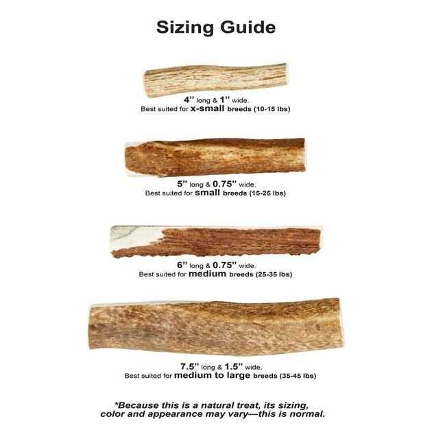 Wild Antler Split B7941