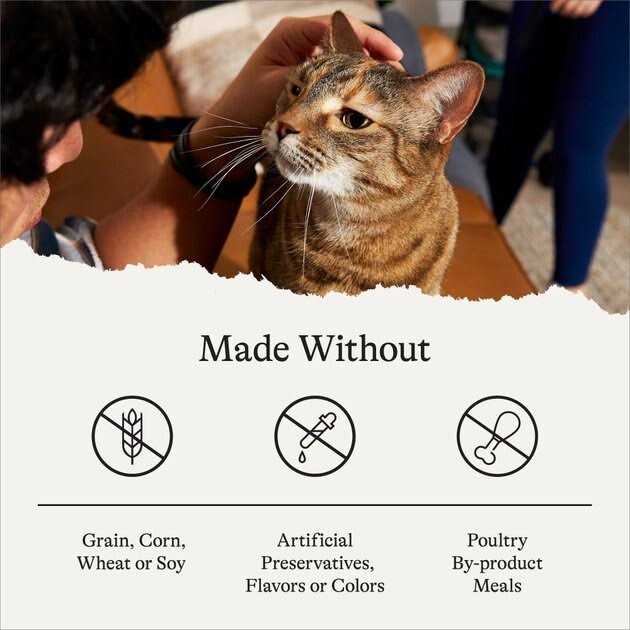 Salmon Grain-Free Dry Cat Food S5938
