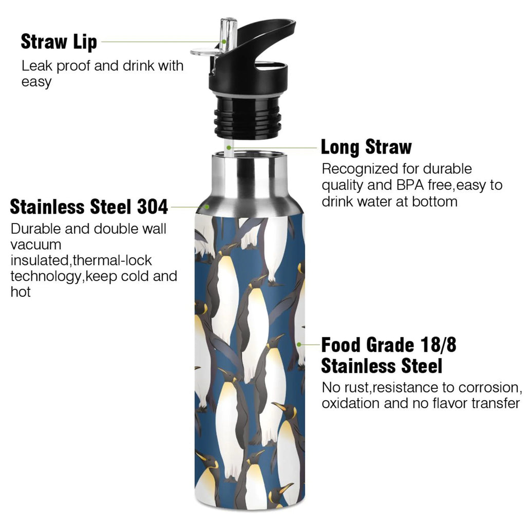 Stainless Steel Insulated Water Bottle with Straw Lid U204493