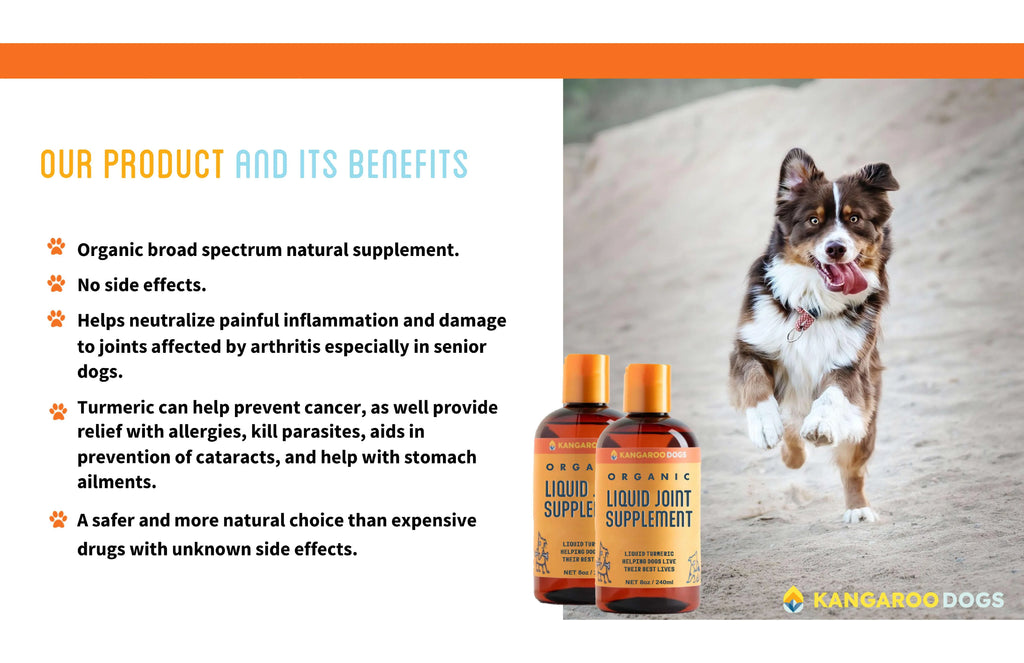 Organic Turmeric Curcumin Dog Joint Supplement Liquid 8 oz D1404