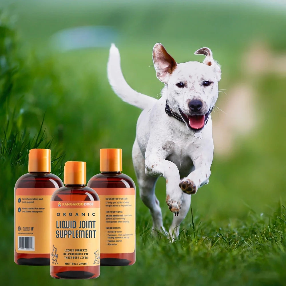 Organic Turmeric Curcumin Dog Joint Supplement Liquid 8 oz D1404