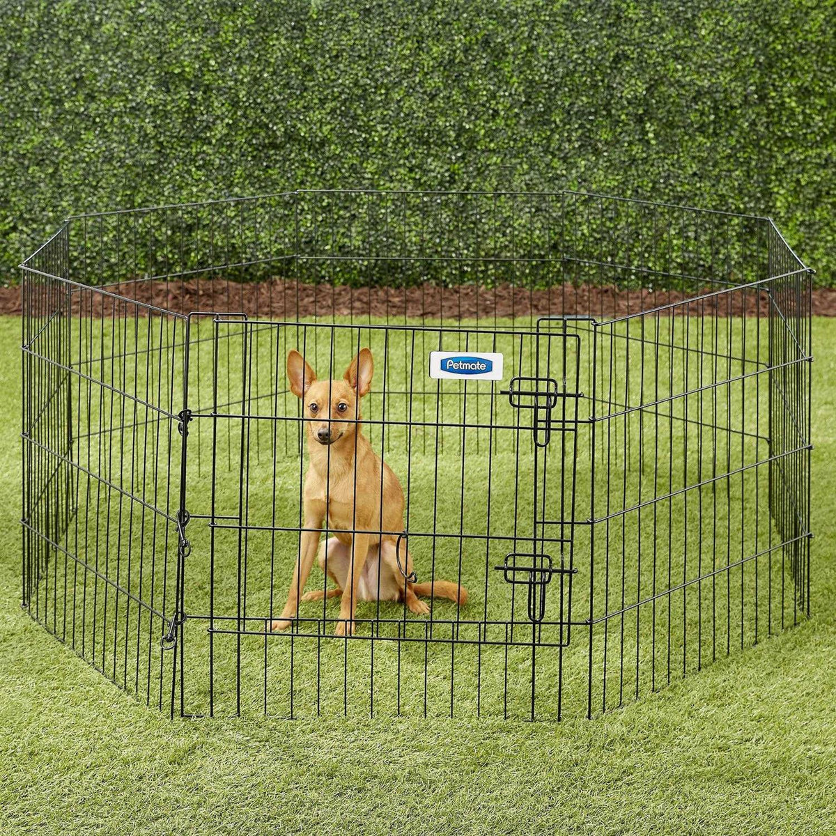 Exercise Pen with Door P67854