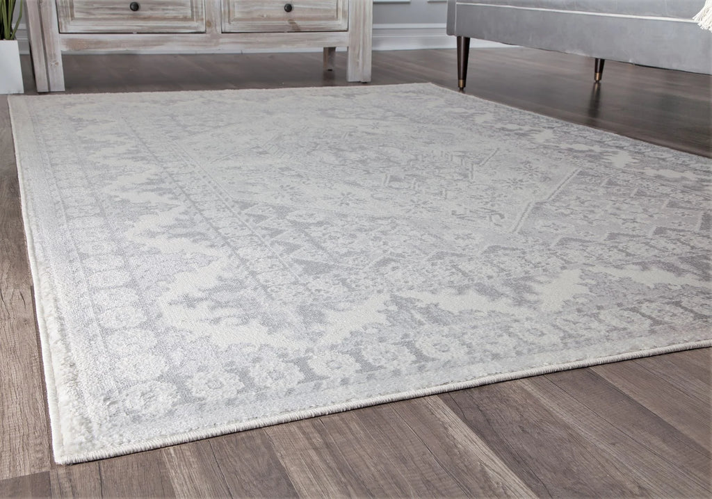Grey Mist Vintage Transitional Area Rug R58651
