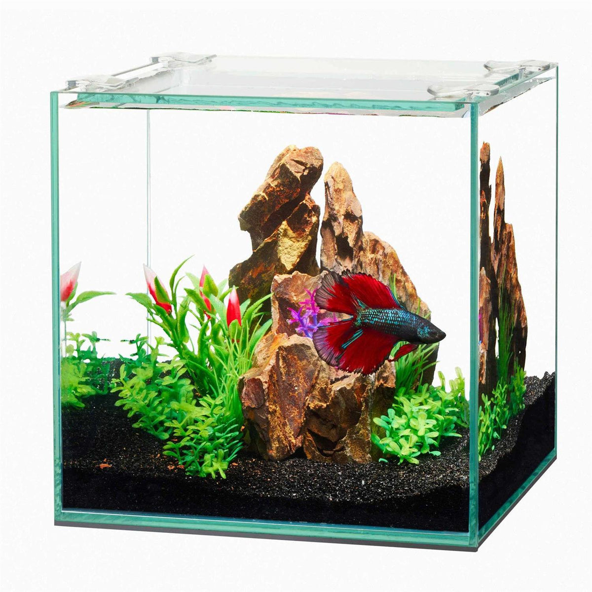 Frameless Cube Aquarium W567