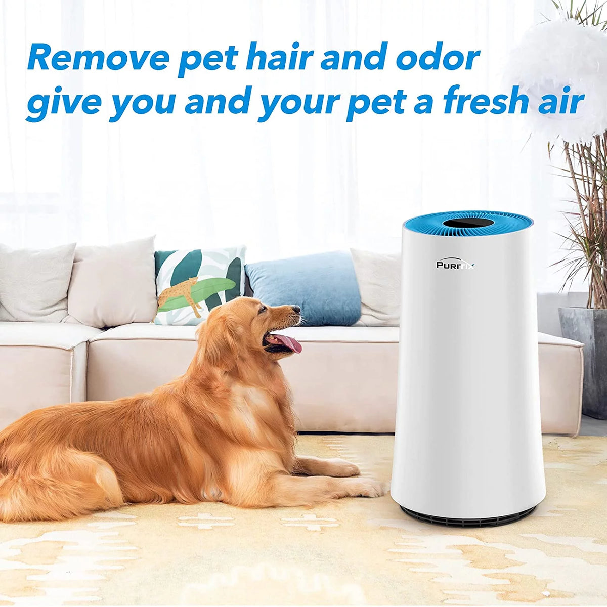 H13 True HEPA Air Purifier with Sleep Mode Z221