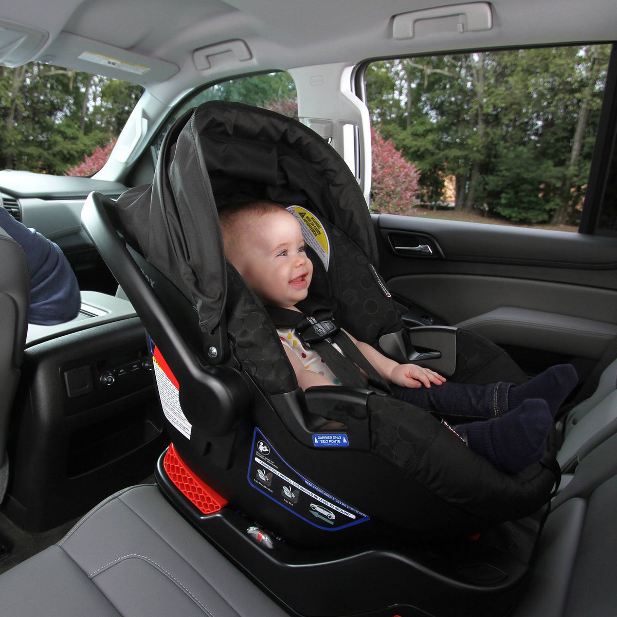 Cardinal Infant Car Seat O879