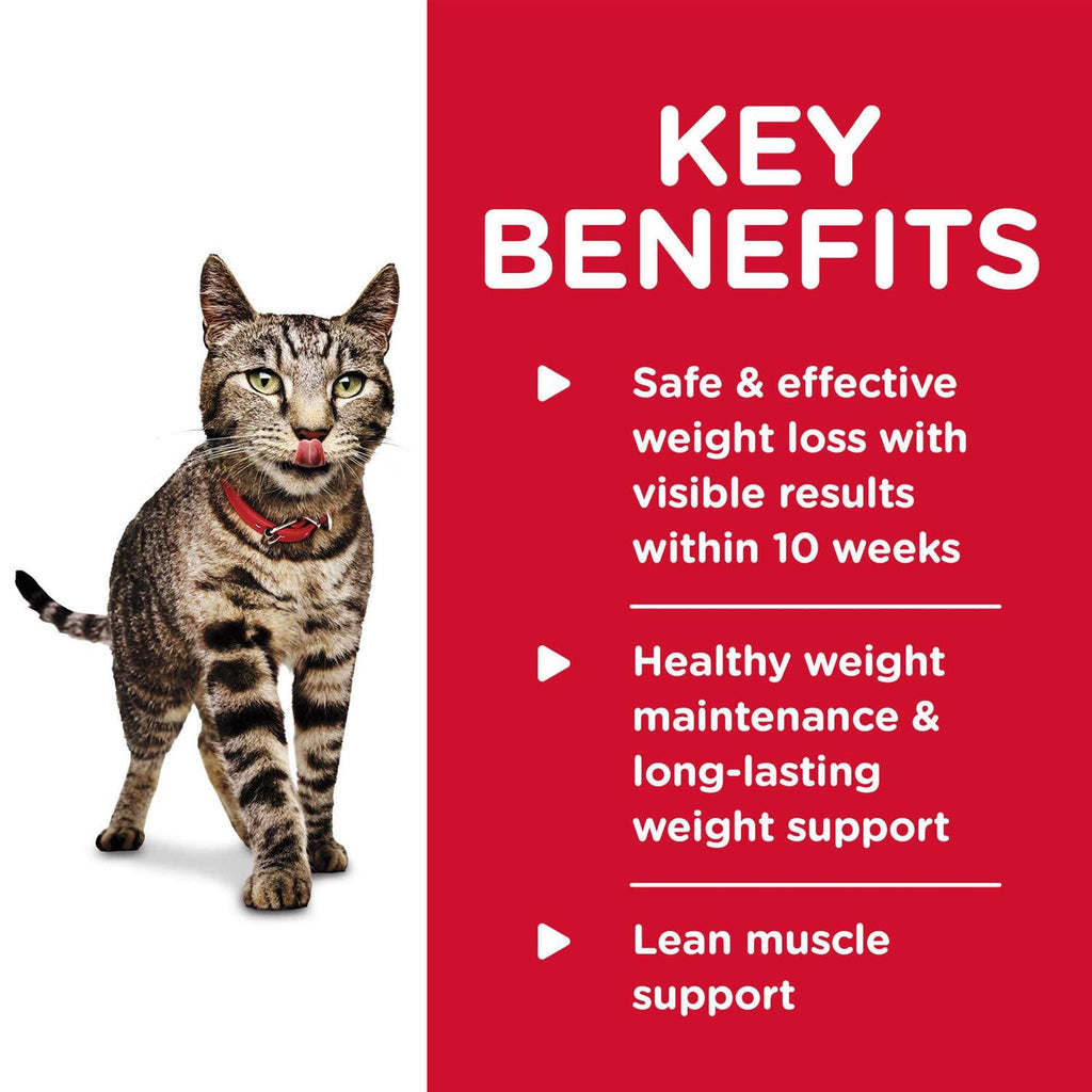 Adult Perfect Weight Cat Food Z37159