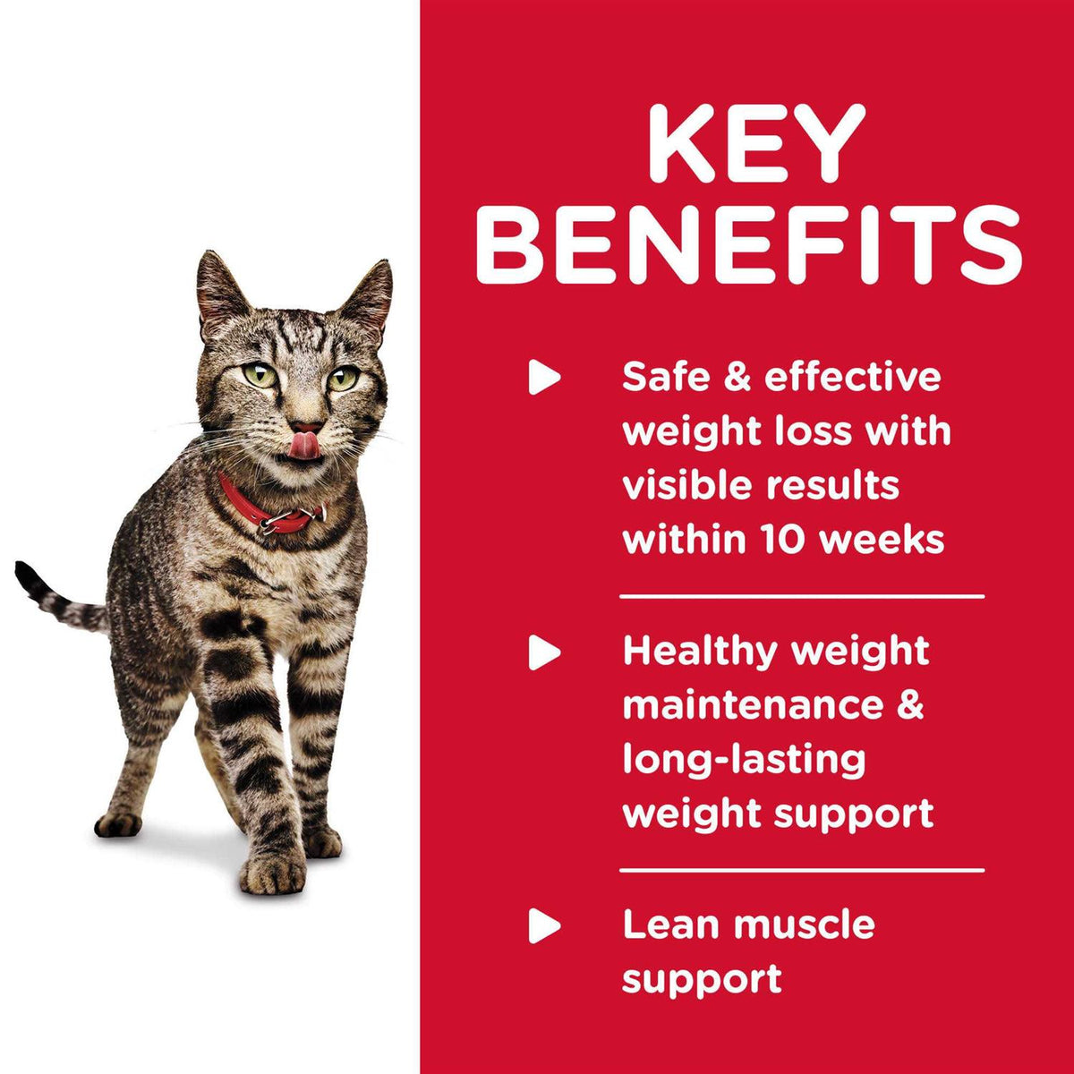 Adult Perfect Weight Cat Food Z37159