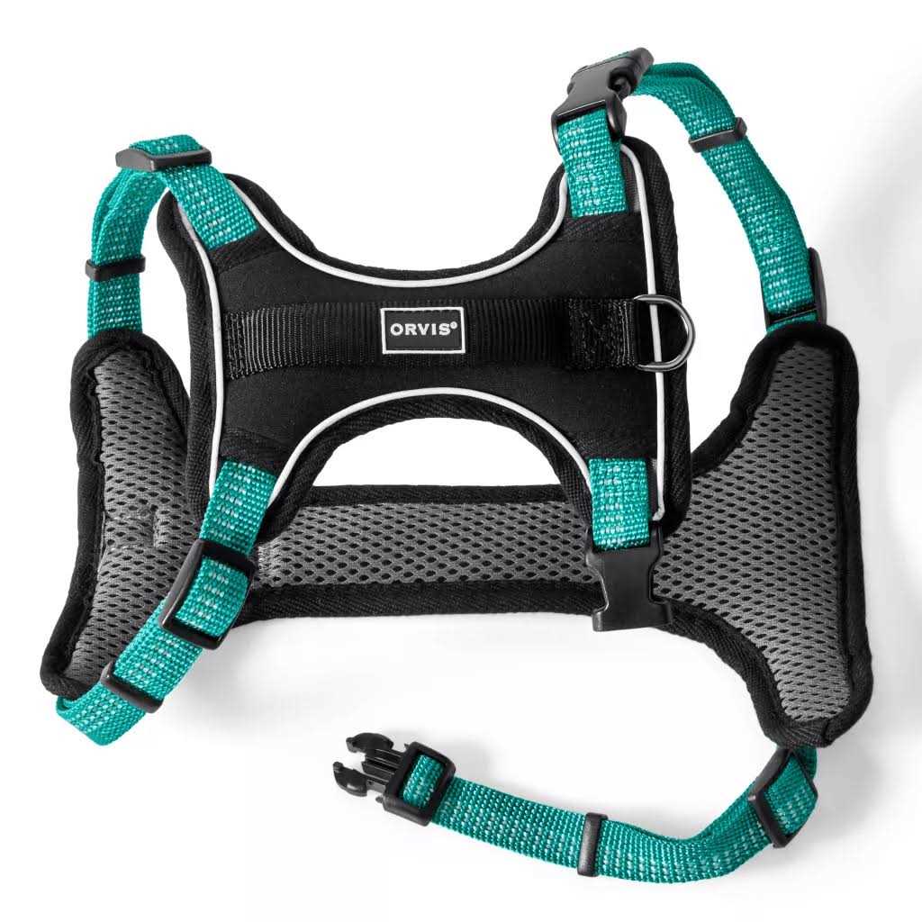Dog Harness Z378697