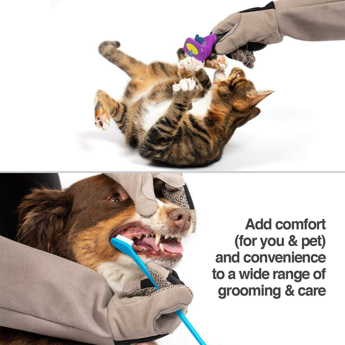 Multipurpose Pet Glove H896404