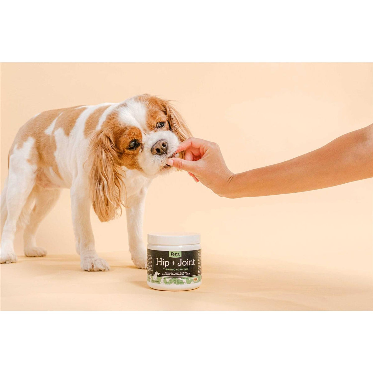Hip & Joint Soft Chew Dog Supplement F7438