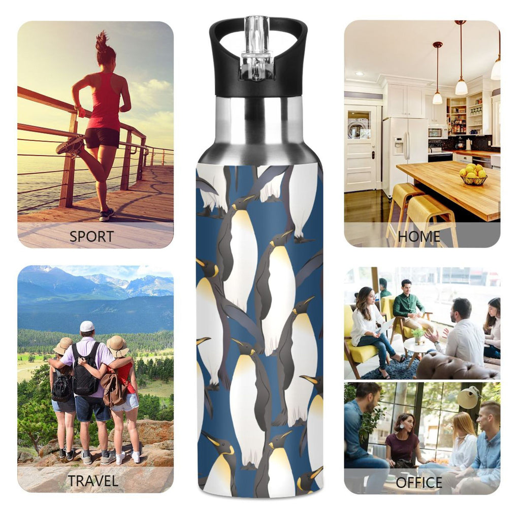 Stainless Steel Insulated Water Bottle with Straw Lid U204493