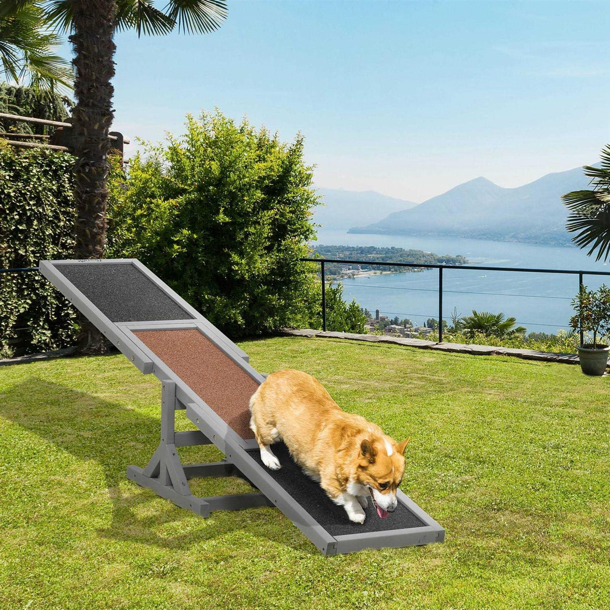 Wooden Dog Agility Seesaw Q589