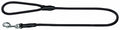 Black Leash Q473157