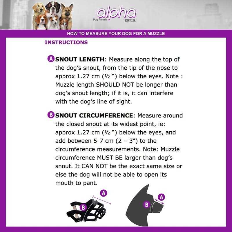 Dog Muzzle X882