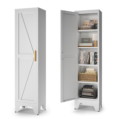 5 Tier Metal Storage Cabinet with 2 Barn Door U812