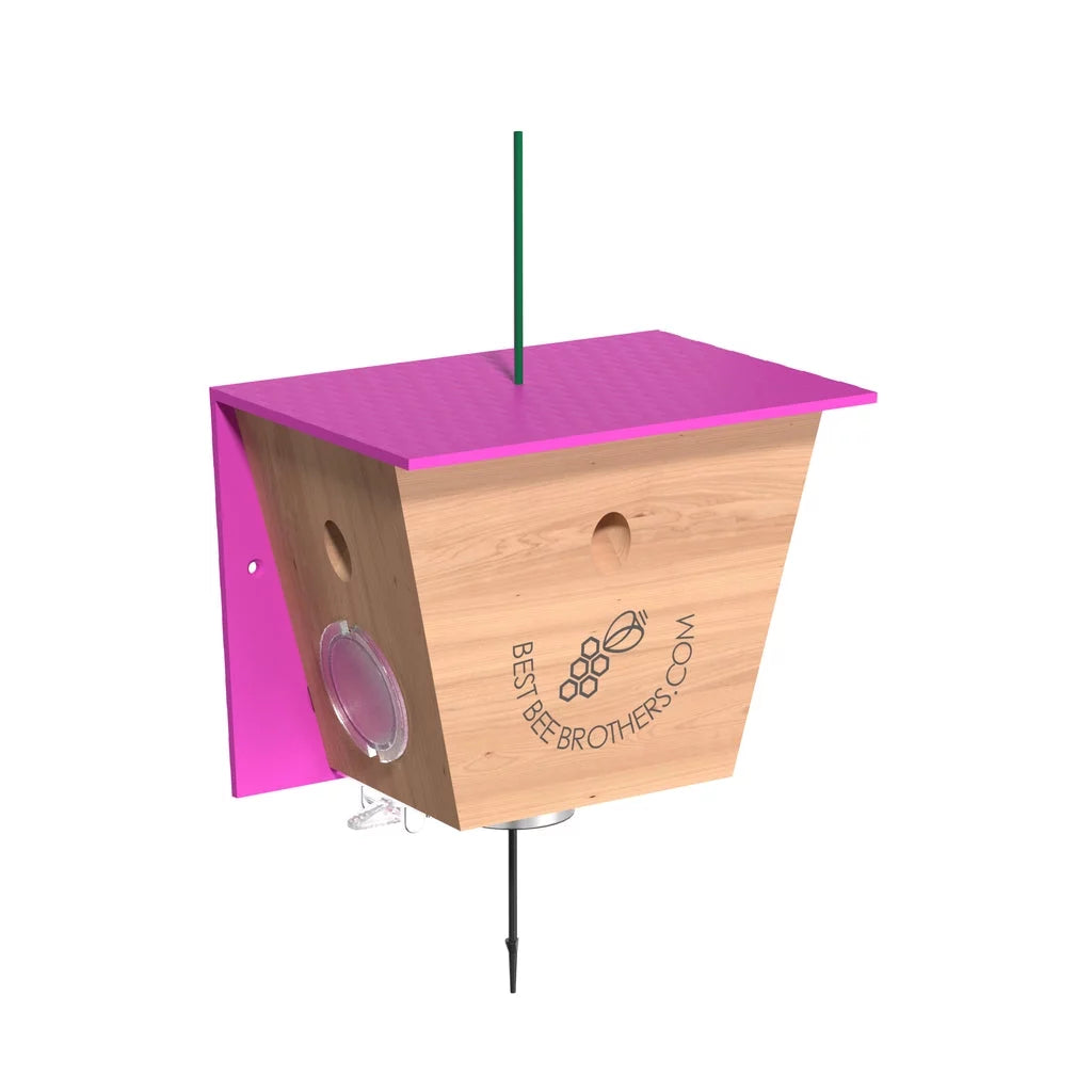 Carpenter Bee Trap Z714