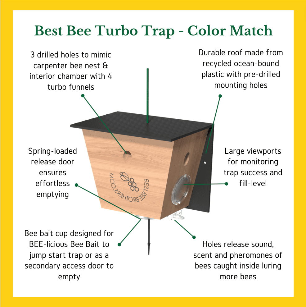 Carpenter Bee Trap Z714