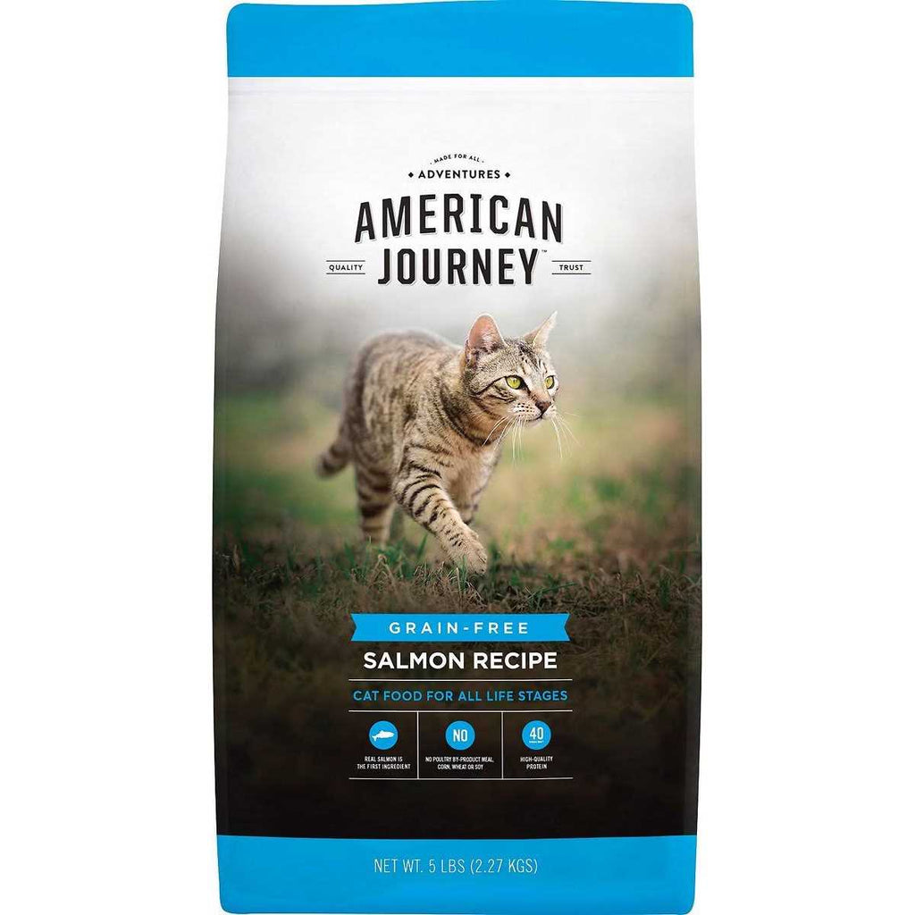 Salmon Grain-Free Dry Cat Food S5938