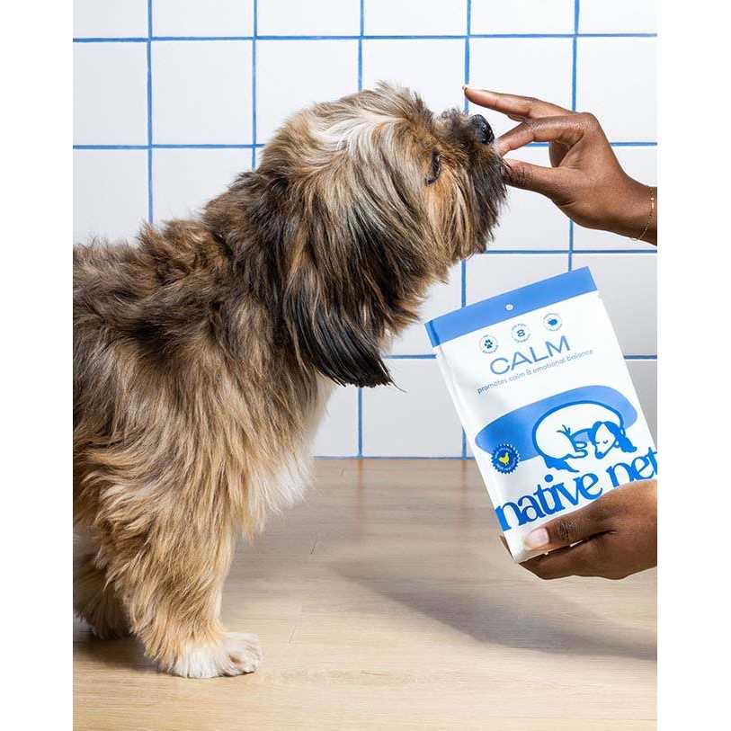 Calming Chews for Dogs E27675