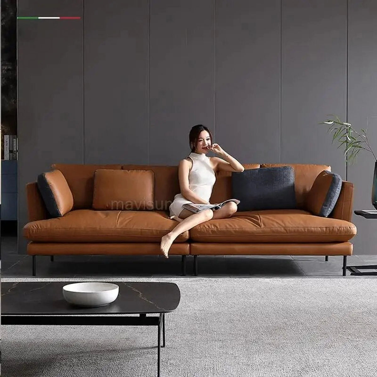 Reclining Fabric Sofa Bed Set N601