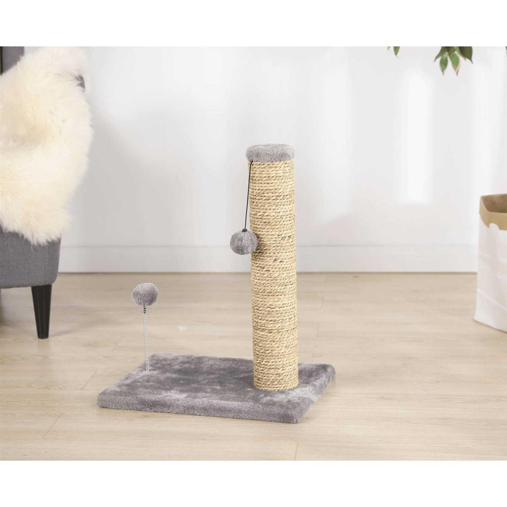 Small Seagrass Scratch and Play Post I9009