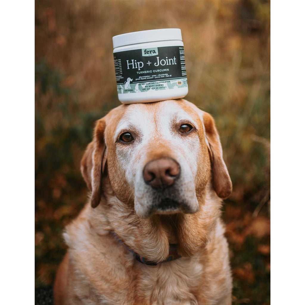 Hip & Joint Soft Chew Dog Supplement F7438