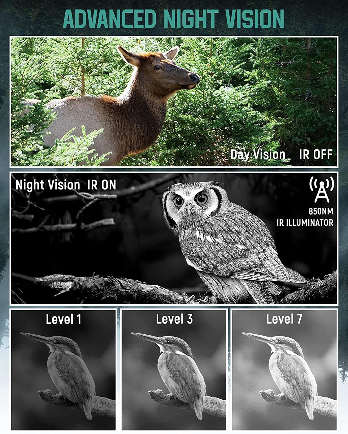 Night Vision Digital Infrared Binoculars with 32GB Memory Card K981